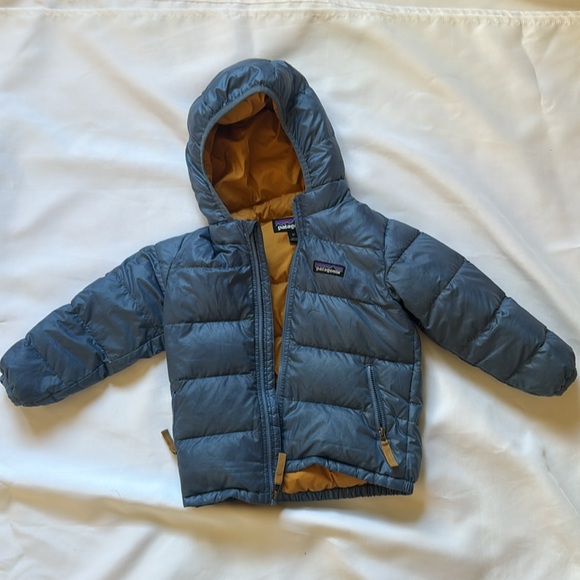 Patagonia Hi-Loft Down Sweater Hoody - Picture 1 of 5